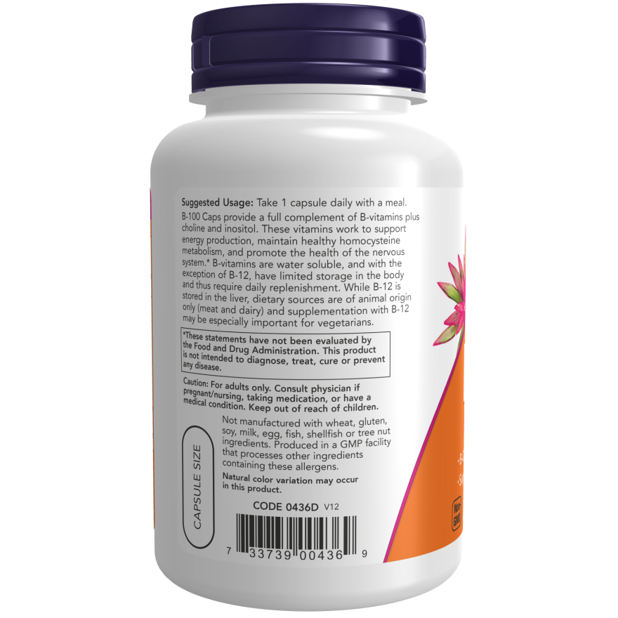 Vitamin B-100 Veg Capsules-Vitamins-AlchePharma