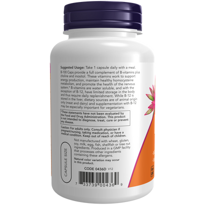 Vitamin B-100 Veg Capsules-Vitamins-AlchePharma