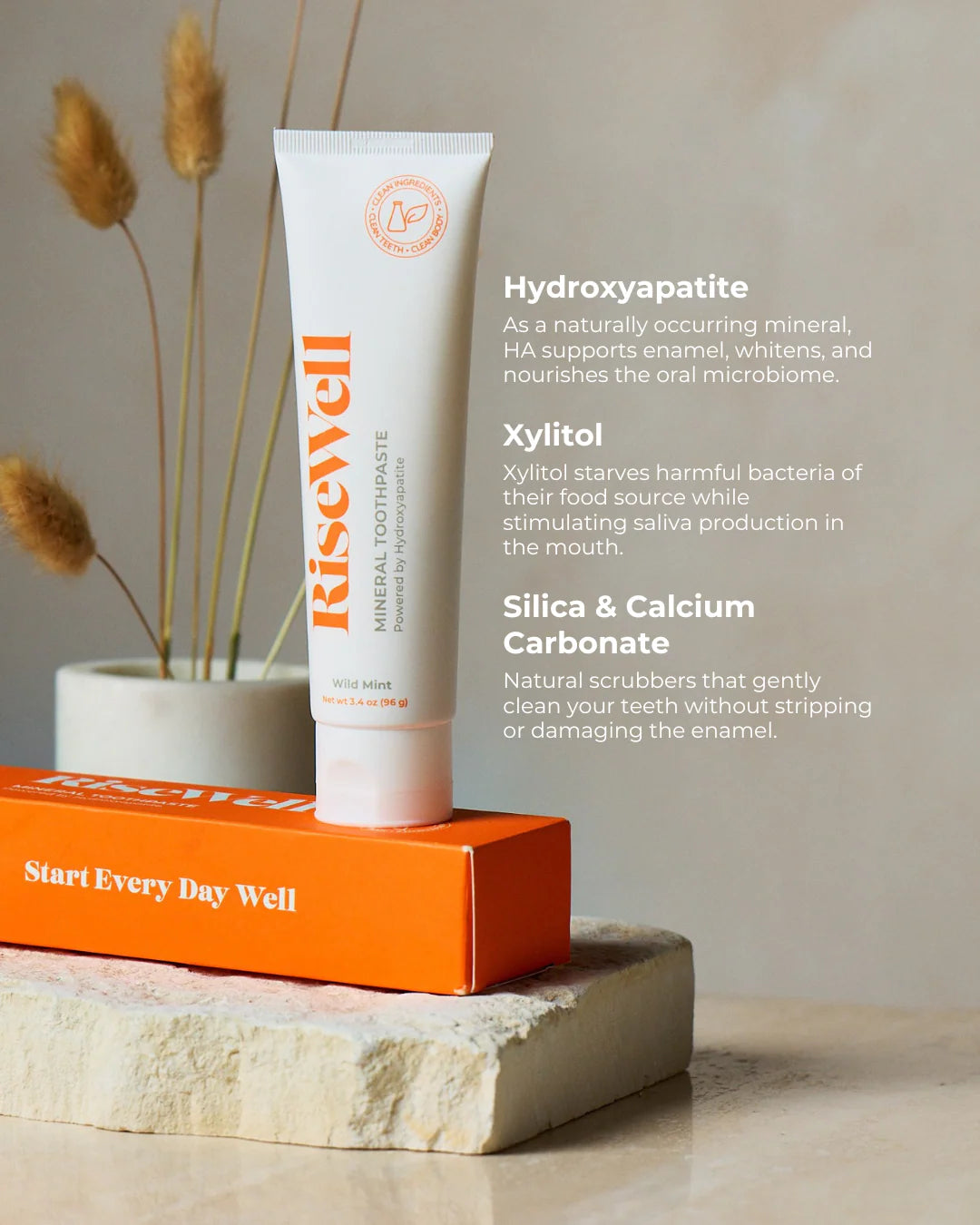 Mineral Toothpaste Wild Mint