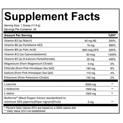 bioENDURE - 3.3:1:1 BCAA Complex (5 Flavors)-Amino Acids-AlchePharma