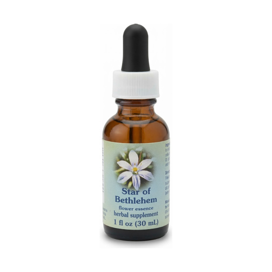 Star of Bethlehem Dropper 1 oz