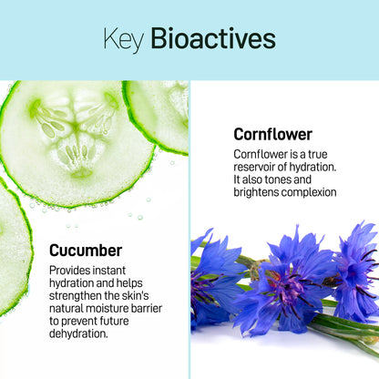 Fragrance-Free Facial Cleanser - Cucumber & Cornflower - 100 mL