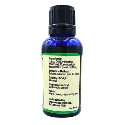 Rose Absolute - 5% Essential Oil in Jojoba Oil - 1 Fl. Oz.