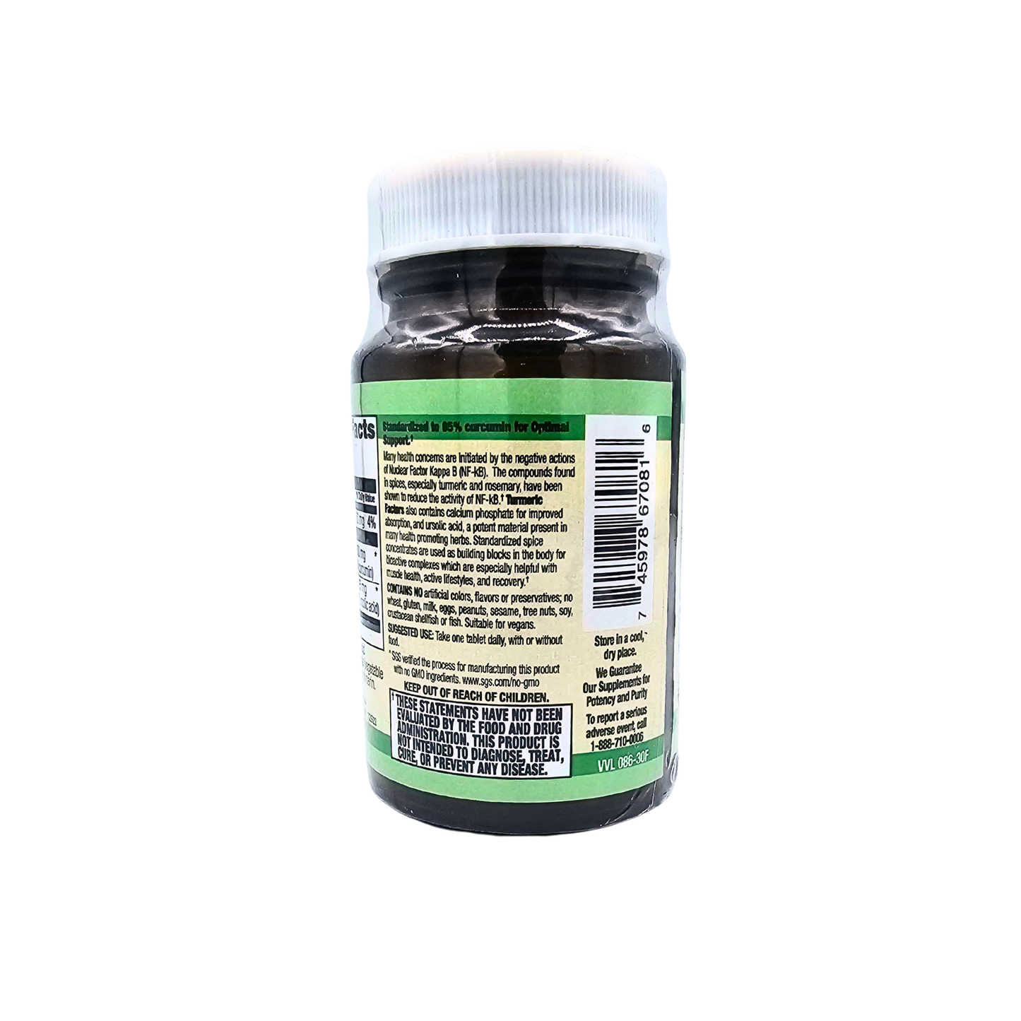 Turmeric Factors - Standardized with Rosemary