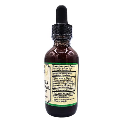 Echinacea Goldenseal - Alcohol-Free Herbal Blend Tincture