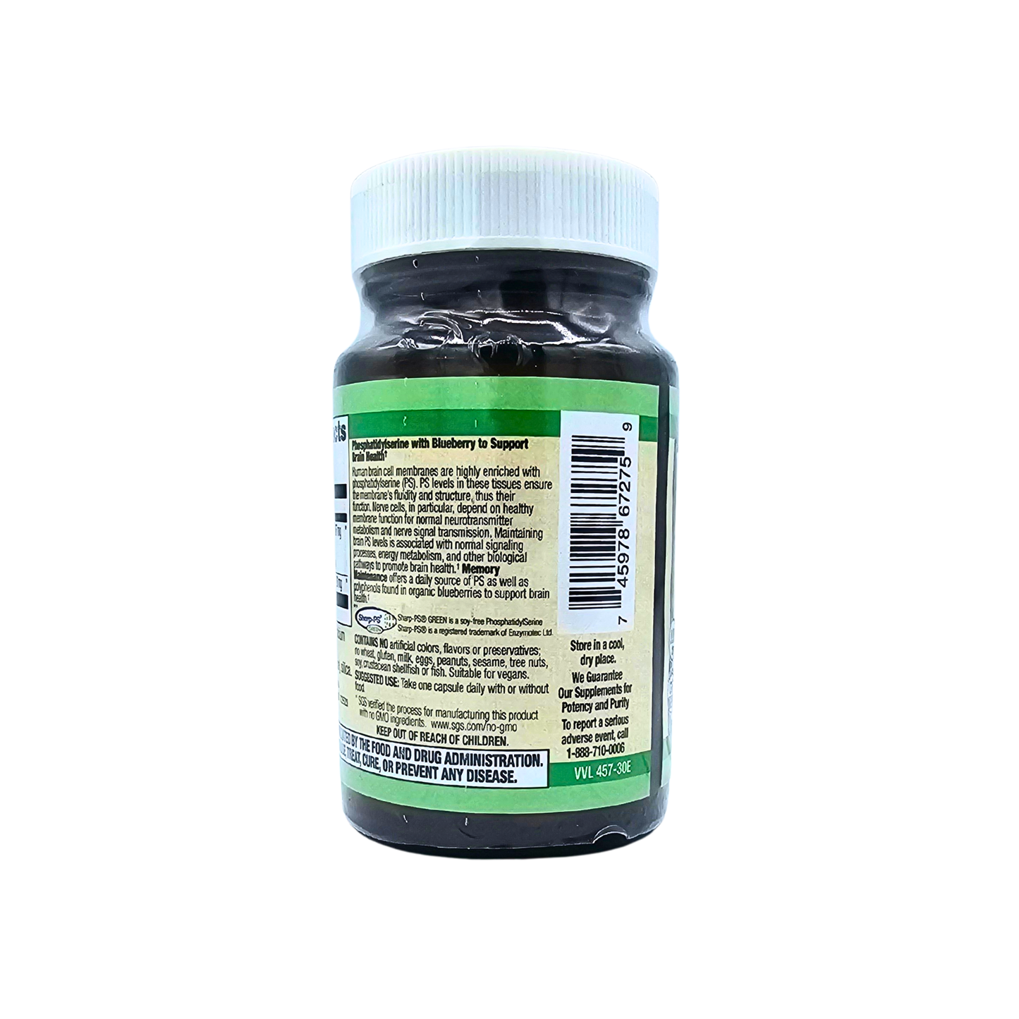 Memory Maintenance - Supports Brain Health