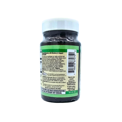 Memory Maintenance - Supports Brain Health