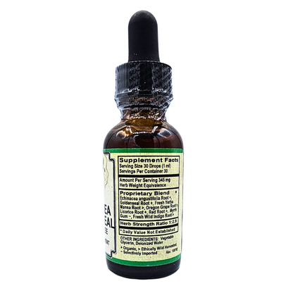Echinacea Goldenseal - Alcohol-Free Herbal Blend Tincture