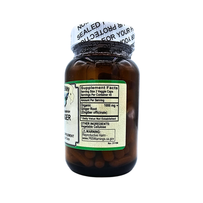 Ginger Root - 500 mg - 90 Capsules