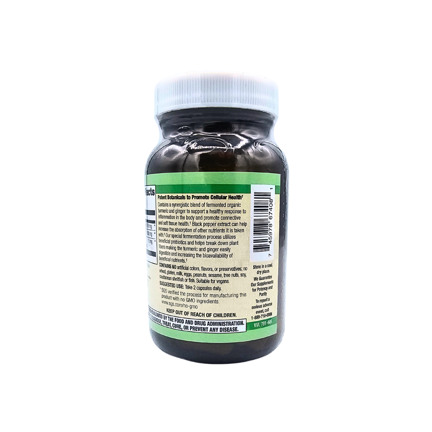 Fermented Turmeric Complex - Organic, with Ginger and Black Pepper - 60 Capsules