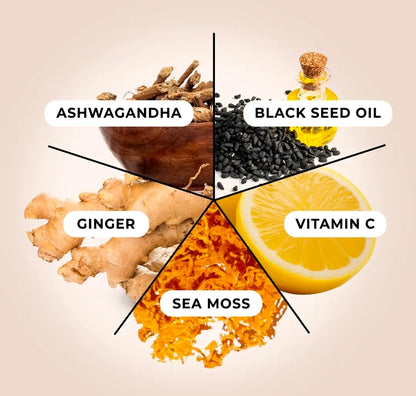 Sea Moss Gel Superfood - 5 In 1 blend - 16 Fl. Oz.